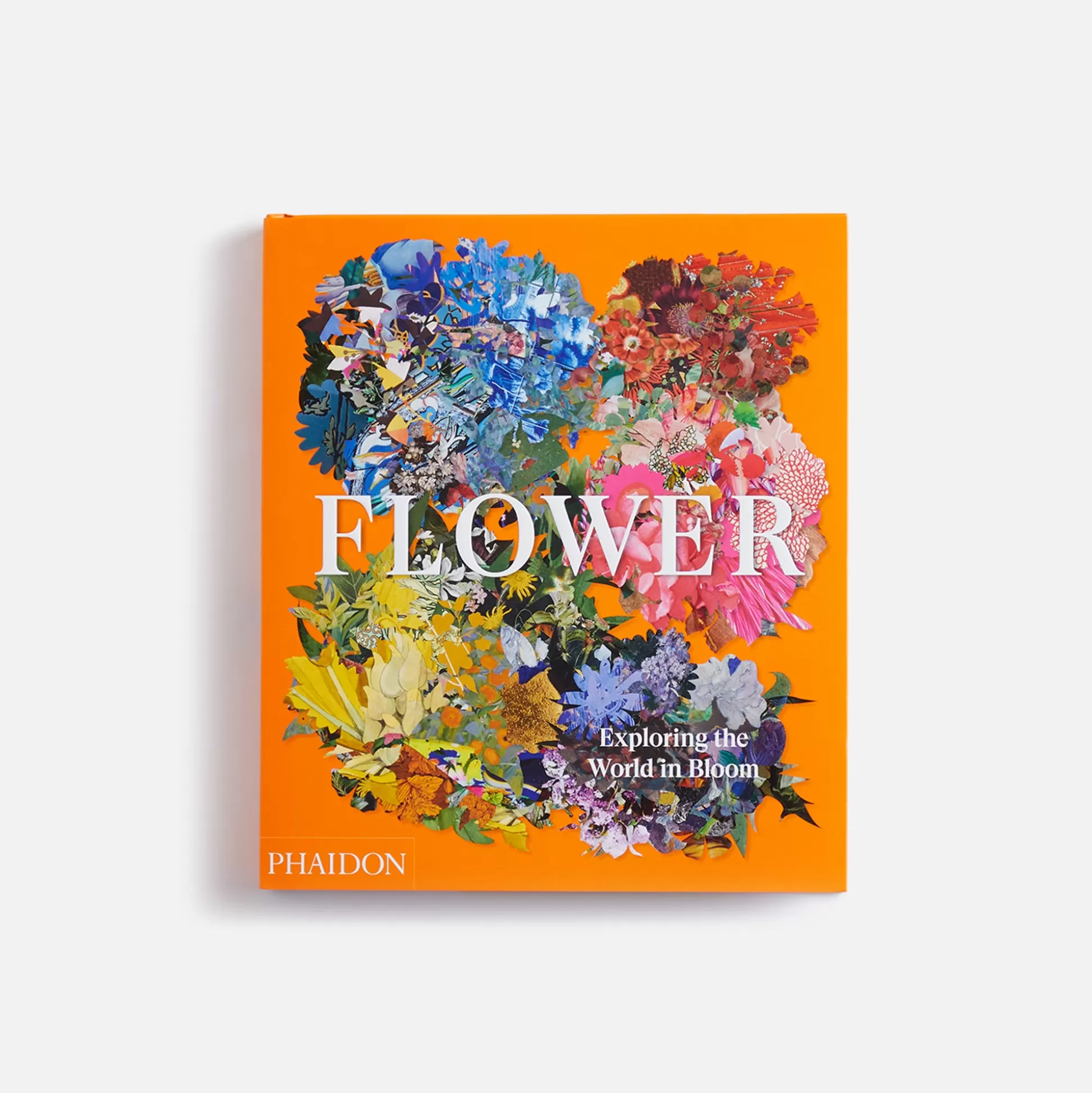 Cheap PHAIDON flower