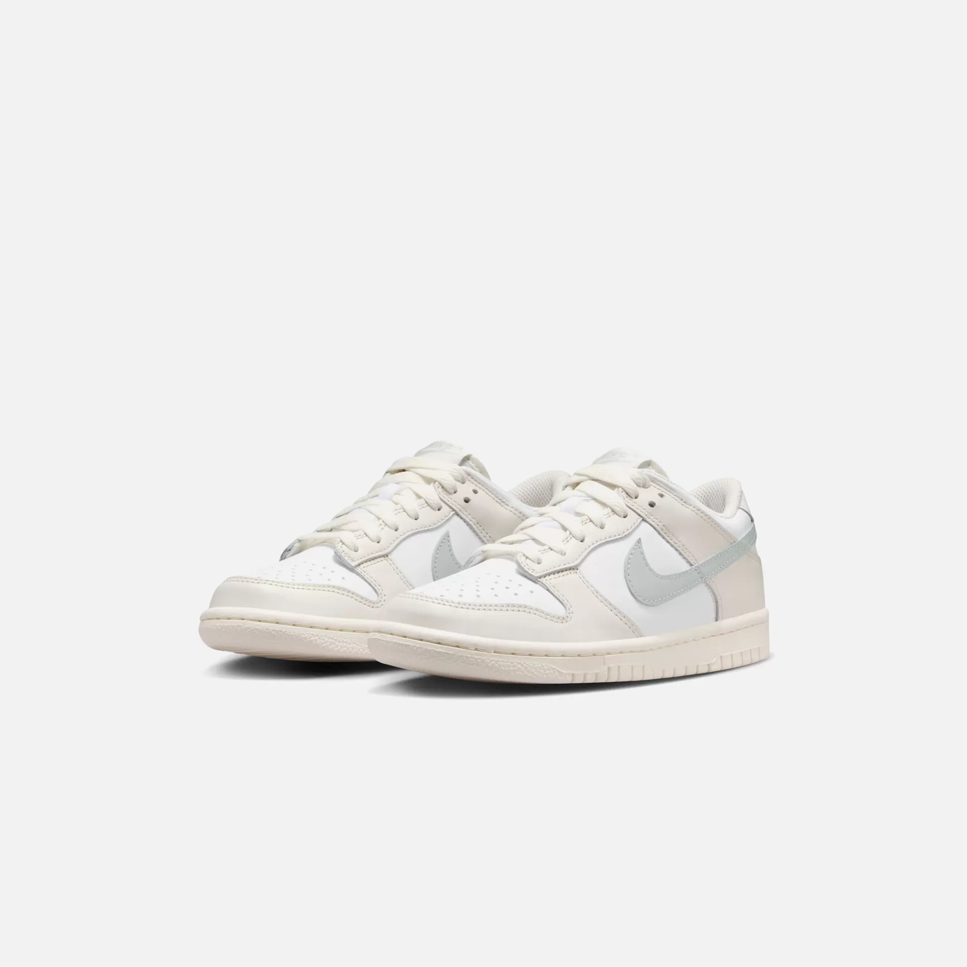 Flash Sale Nike gs dunk low