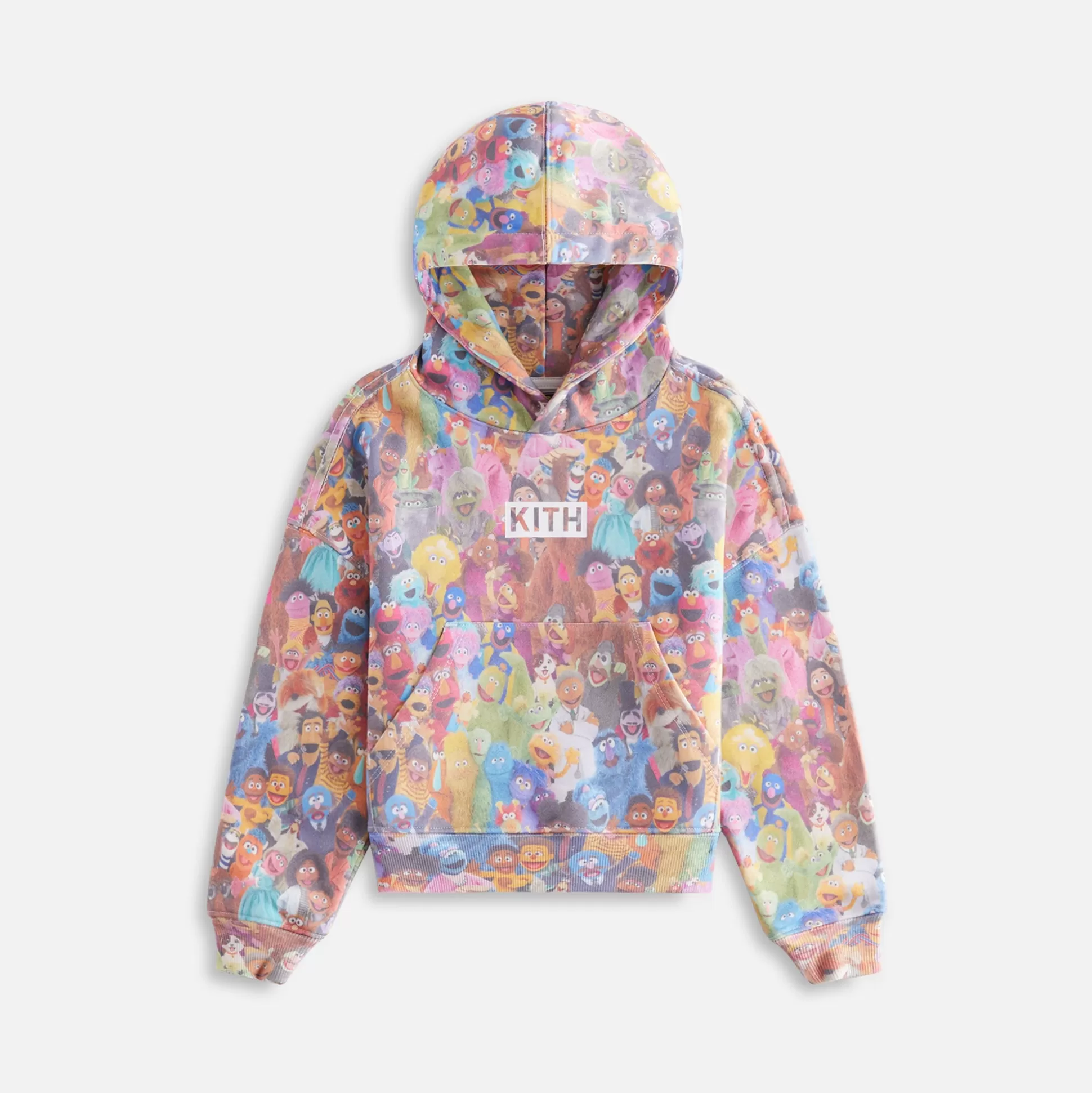 Best Kith Kids for Sesame Street Family Nelson Hoodie Multi